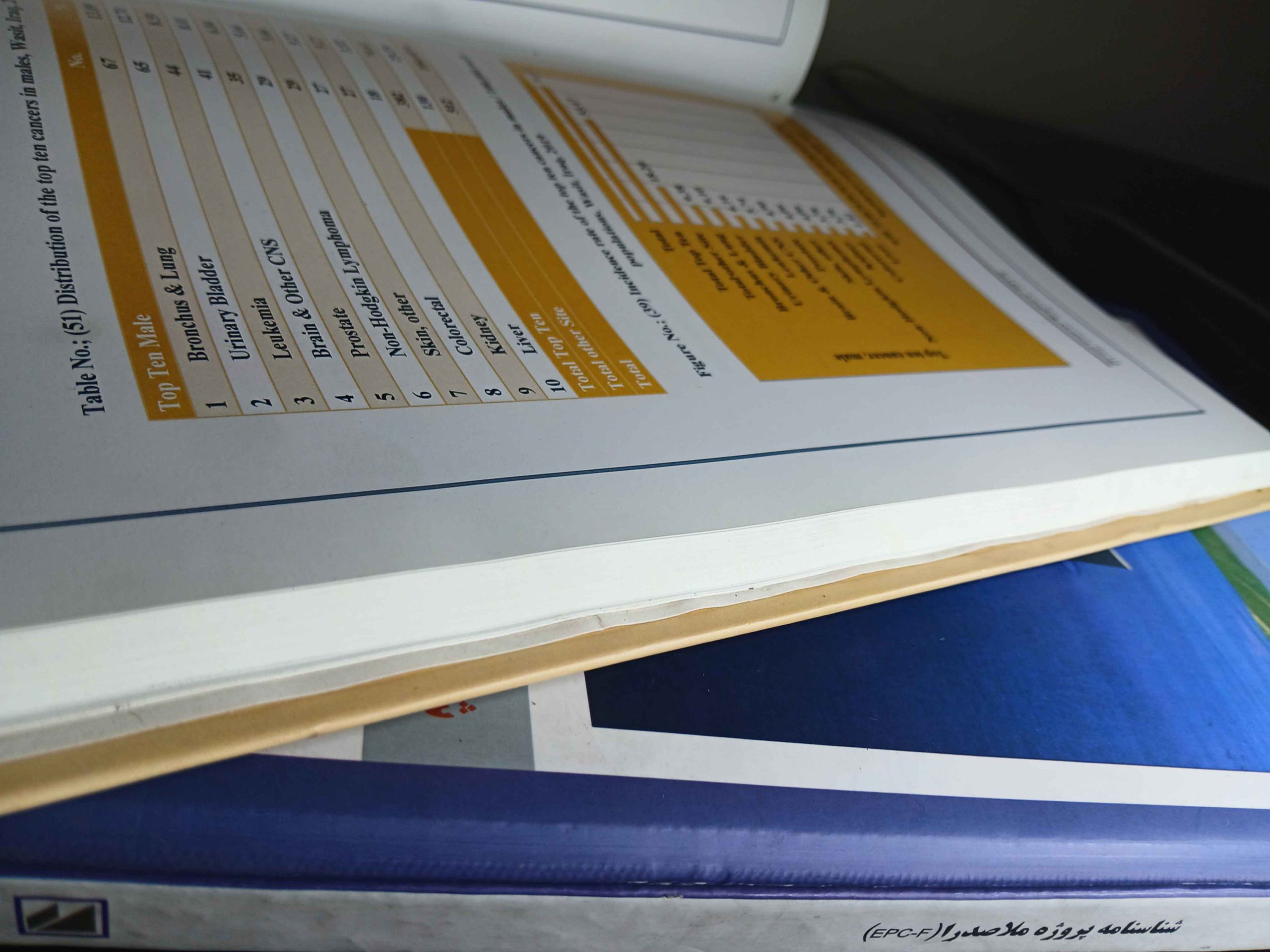 داخله و جلد چاپ کاتالوگ جلد سخت